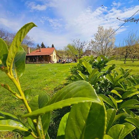 فيلا Fruska House Besenovacki Prnjavor المظهر الخارجي الصورة