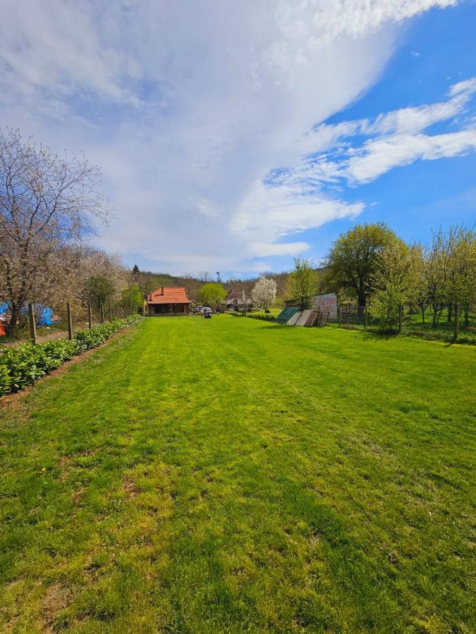 فيلا Fruska House Besenovacki Prnjavor المظهر الخارجي الصورة