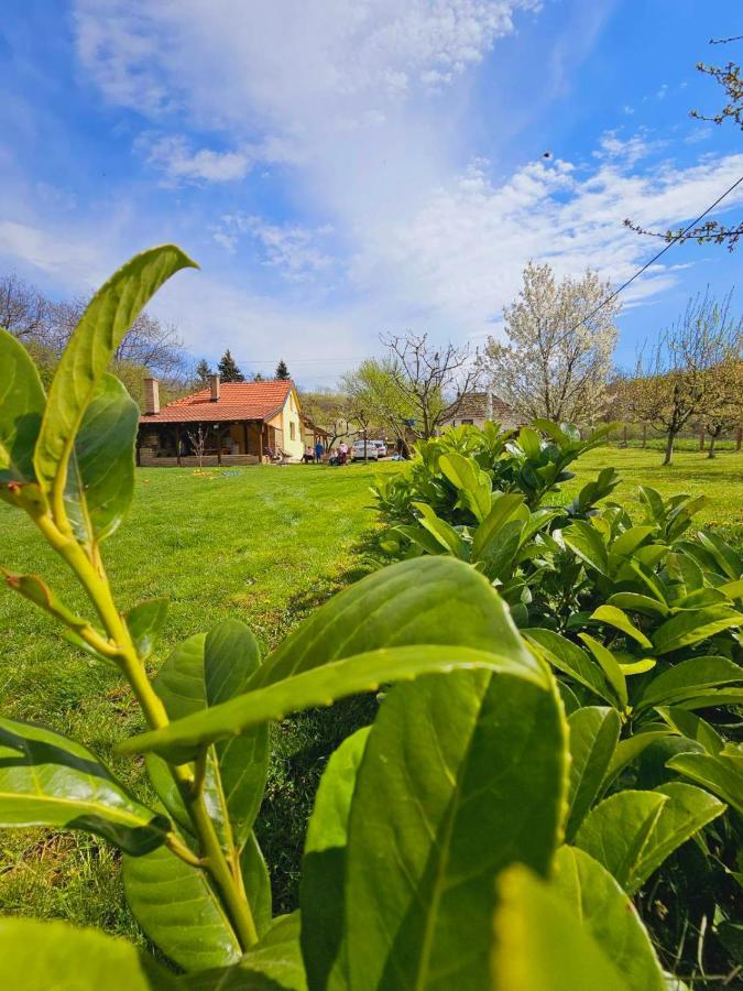 فيلا Fruska House Besenovacki Prnjavor المظهر الخارجي الصورة
