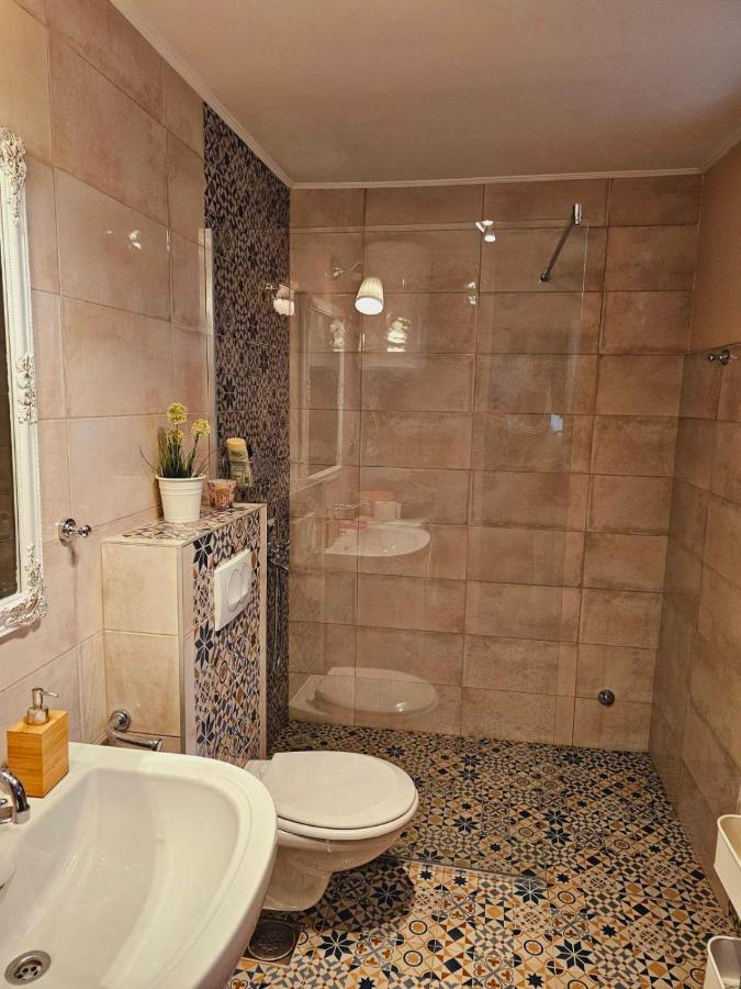 فيلا Fruska House Besenovacki Prnjavor المظهر الخارجي الصورة